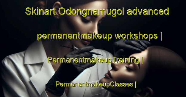 Skinart Odongnamugol advanced permanentmakeup workshops | PermanentmakeupTraining | PermanentmakeupClasses | SkinartTraining-Republic of Korea